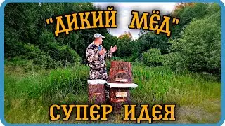 DECKS GO TO THE FOREST. WE COLLECT A MINI APIARY FROM DECKS. 