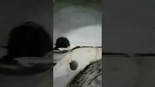 Киа спортэйдж 2000г, рама