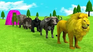 Paint & Animals Hippo, Gorilla, Lion, Elephant, Buffalo, Dinosaur Fountain Crossing Transformation