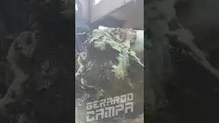 Por 25 pesos, te puedes comer un #taco de #cabeza de #res en el #Mercado de #TulaDeAllende, #Hidalgo