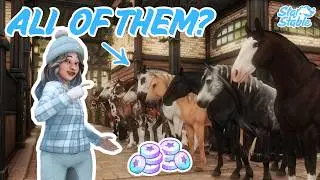 Finally buying EVERY horse breed in SSO | Star Stable Online