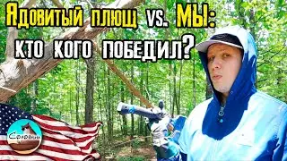Ядовитый плющ vs. Мы: кто кого победил? / Как справиться с ядовитым плющем самостоятельно