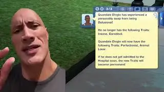 sims 3 is an odd game