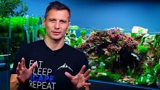 TOP-NOTCH IAPLC CONTEST AQUASCAPE? 'SANCTUARY' - A DREAM COME TRUE