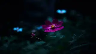 Dark Nature Ep.4 / Deep Progressive House Set / February 2024