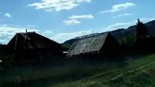 7. Птичка