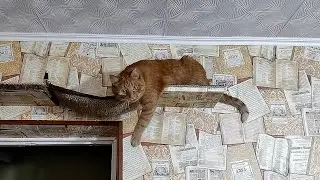 Сегодня Вася на спорте, я на фитнесе, а у Тимохи как всегда водные процедуры