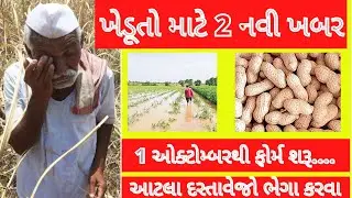 New Khedut Yojana 2020 | SDRF Pak Sahay Yojana 2020 | MSP Magfali Online Registration Gujarat 2020