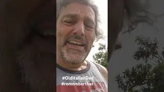 #olditaliandad wants you to #rememberthat #reel #goat #tuesdayspecial #sheep