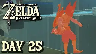 Finally Crossing That Stinkin' Bridge - Breath of the Wild | DAY 25