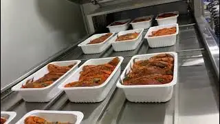 Volvac E35 gazlı tam otomatik tabak kapatma makinası reform su