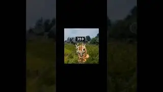 это факт 