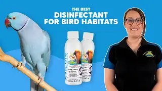 Keeping Your Bird's Habitat Clean