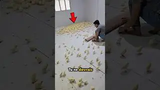 Ces Filles Ont Confondu Leur Mère 😍 🐣