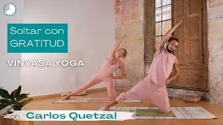 Vinyasa Yoga 