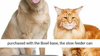 Neater Pet Brands