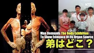 Man Demands The Body Exhibition To Show Evidence Of Its Organ Source「弟はどこ？」豪州の人体標本展　兄がDNA鑑定を要求（英語版）