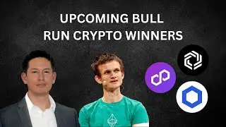 Upcoming Bull Run Crypto Categories to Research ( MATIC, IMX, LINK, & more )