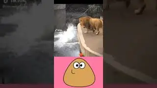 (: