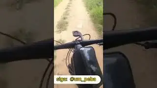 MEU ANJO DA GUARDA QUE LUTE 