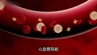 金石酵母B群 國語CF