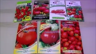 Великолепные суперранние и низкорослые очень урожайные томаты -  для особой ранней грядки!