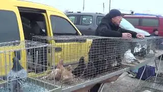 Кривий Ріг.18.03.2023р. ч. 4