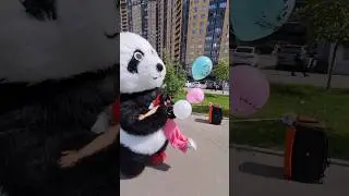 🤩Танцы С Пандой Во Дворе, Поздравление - Сюрприз 🤩