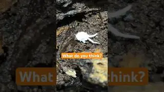 OMG 😱