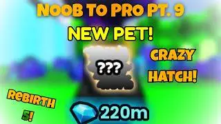 Insane Inventory Overhaul... And My CRAZIEST Hatch Yet! Pet Simulator 99 Noob to Pro (Part 9)