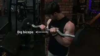 Bu 3 farklı z bar curl hareketiyle bicepslerini patlat! 