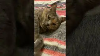 Говорят после работы  есть время на личную жизнь.