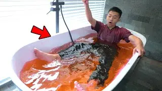 Diwan Mandi Di Kolam Darah !! |  fikrifadlu
