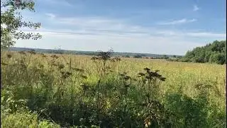 Поле Рогово Снт 2