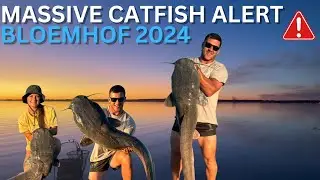 Massive Catfish / Barbers Fishing Session South Africa Feshwater