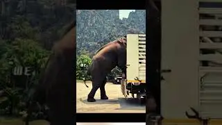Elephant transport #shorts #video #wildlife