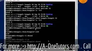 chgrp Command In UNIX