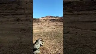 АКМ 7.62x39 на дистанции 850 метров