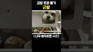 김밥 포장용기 근황