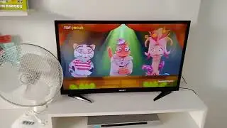 dedektif reptır hayvanlar şarkısı