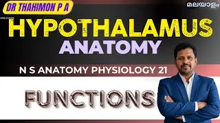 Hypothalamus Anatomy Physiology Malayalam Functions Of Hypothalamus Malayalam
