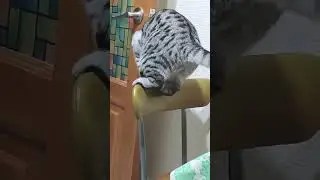 Первый раз.