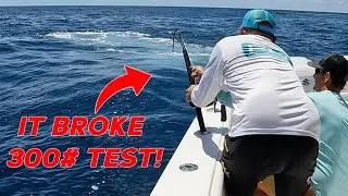 We Hooked a MONSTER Fish and Filled the Boat with Snapper.  (Catch and Pop)