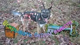 Ищем клад с Алтыном.