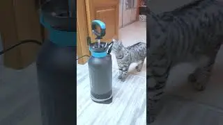 Очень страшно!!!