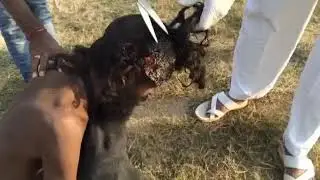 Бу инсон иложсизликдан шу ахволгаТушганми Йоки Бошка сабаб