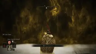 Me Vs Promised Consort Radahn
