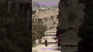 #bolalik