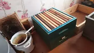 сколько мёда в одном магазине??