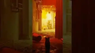 The Slum region is Stray has Cyberpunk Vibes.